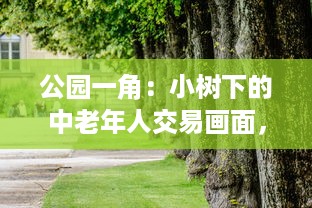 公园一角：小树下的中老年人交易画面，揭示城市生活中不为人知的一面图片集展示