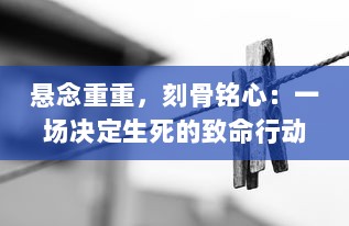 悬念重重，刻骨铭心：一场决定生死的致命行动的深度解析和内幕揭秘