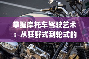 掌握摩托车驾驶艺术：从狂野式到轮式的转换技巧完全解析和实践指南 v5.2.3下载