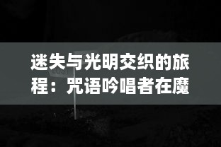 迷失与光明交织的旅程：咒语吟唱者在魔法之路上的奇幻冒险与神秘挑战