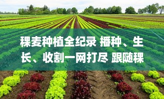 稞麦种植全纪录 播种、生长、收割一网打尽 跟随稞麦视频，探索农耕文化的奥秘。 v0.2.1下载