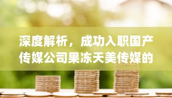 深度解析，成功入职国产传媒公司果冻天美传媒的详细步骤